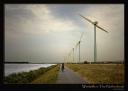Cycling near the Dutch windmills