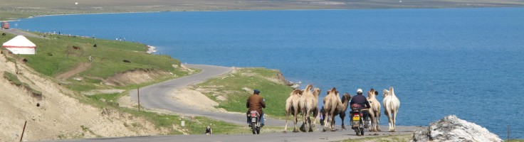 Site icon for Cycling Adventures of 2 Nomads